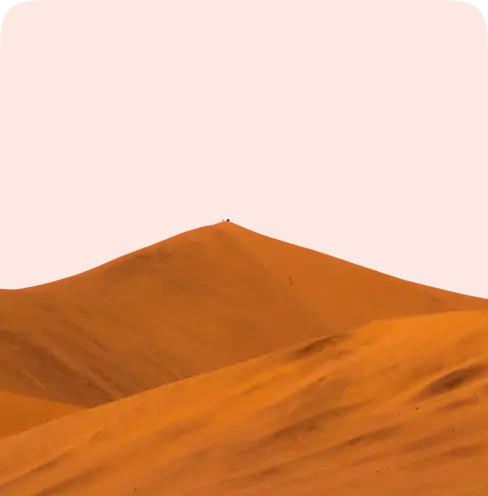 تورهای کویری