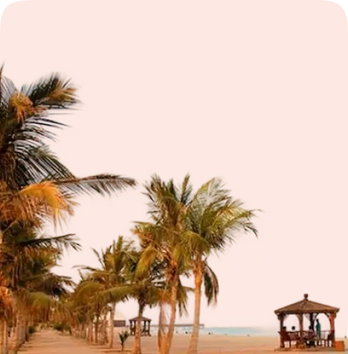 تورهای جنوب