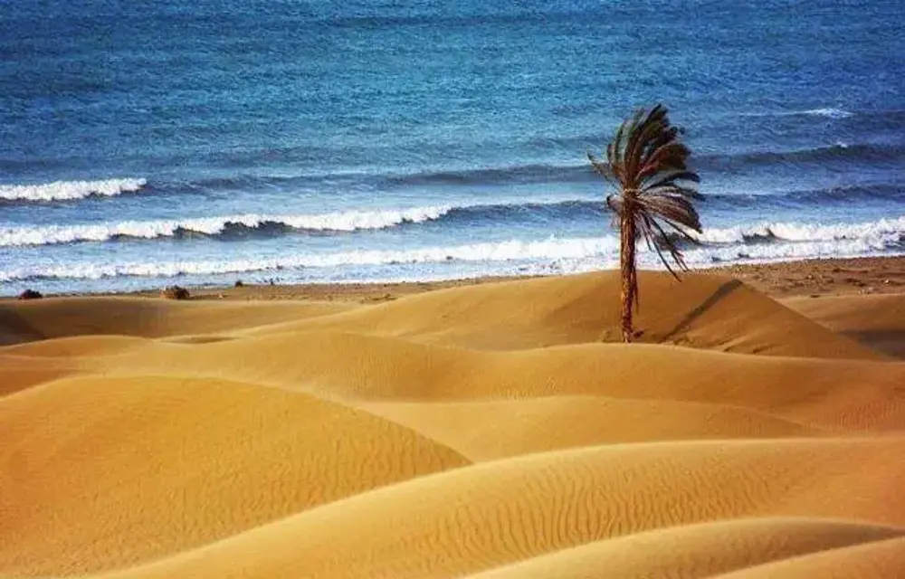 درک بهشت زمینی چابهار